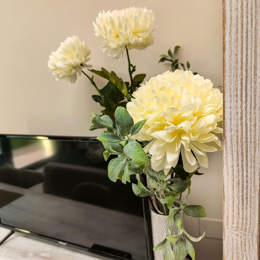 Delphinium Hotel Selargius Esterno foto